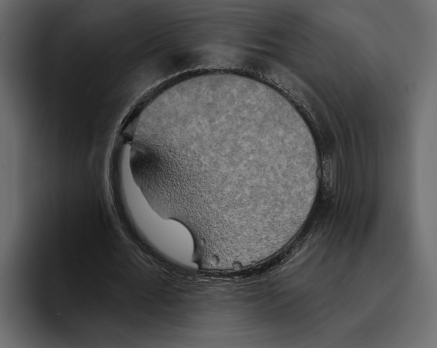 X0000094790676200712141638