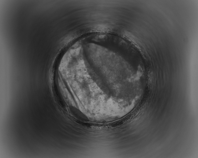 X0000094790679200712141638