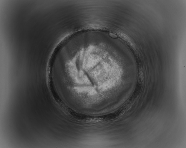 X0000094790680200712141638