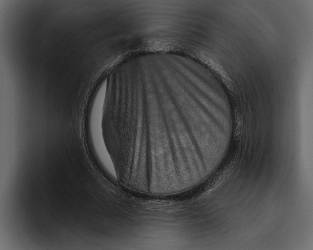 X0000094790681200712141638