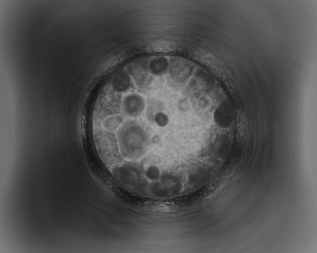 X0000094790683200712141638