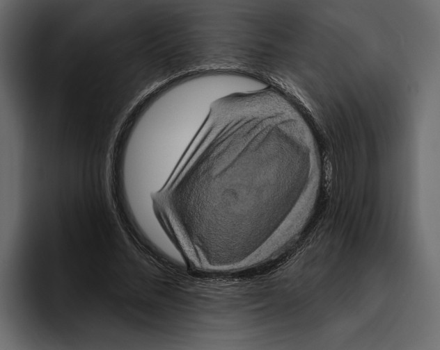 X0000094790684200712141638