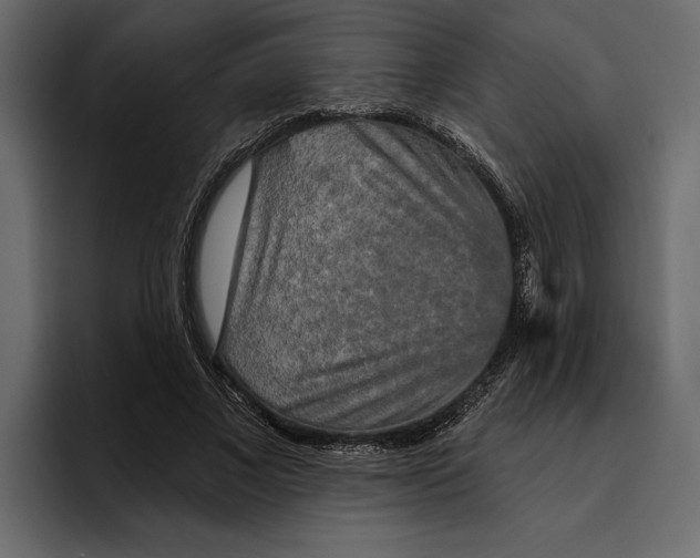 X0000094790685200712141638