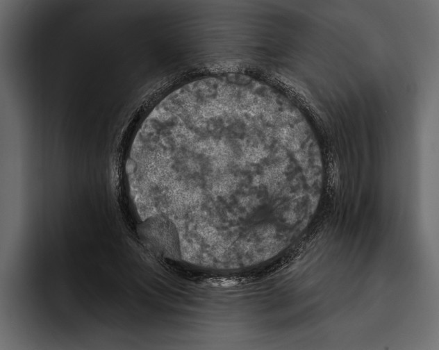 X0000094790687200712141638