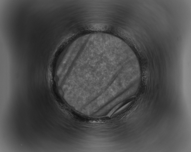 X0000094790688200712141638