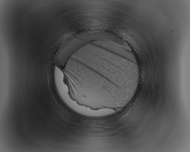 X0000094790693200712141638