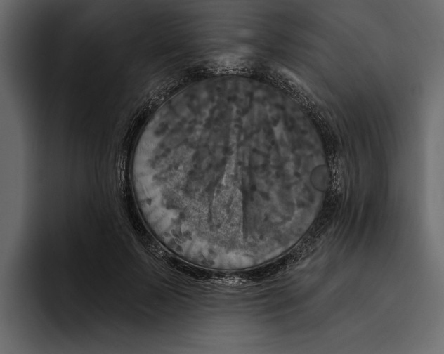 X0000094790695200712141638