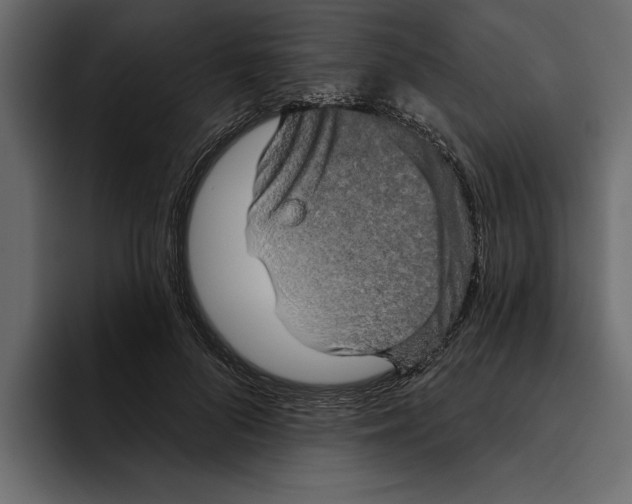 X0000094790696200712141638