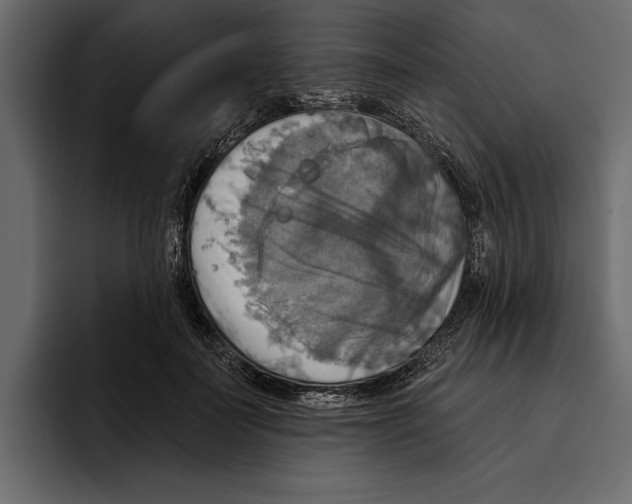 X0000094790699200712141638