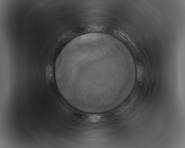 X0000094790701200712141638