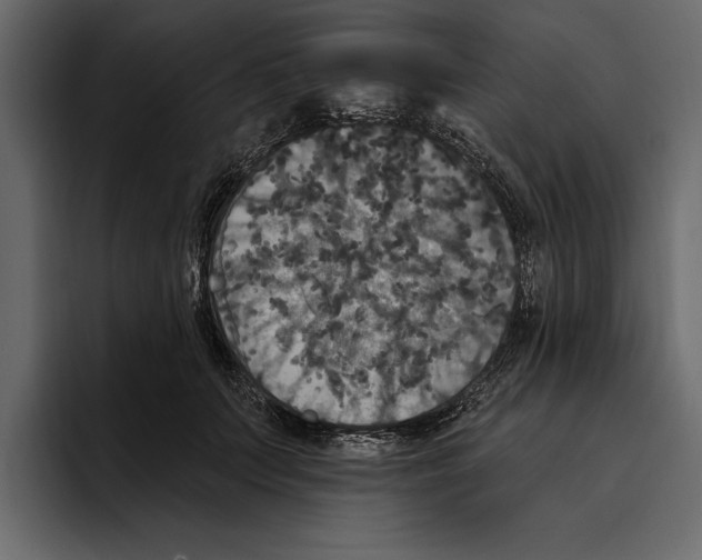 X0000094790703200712141638