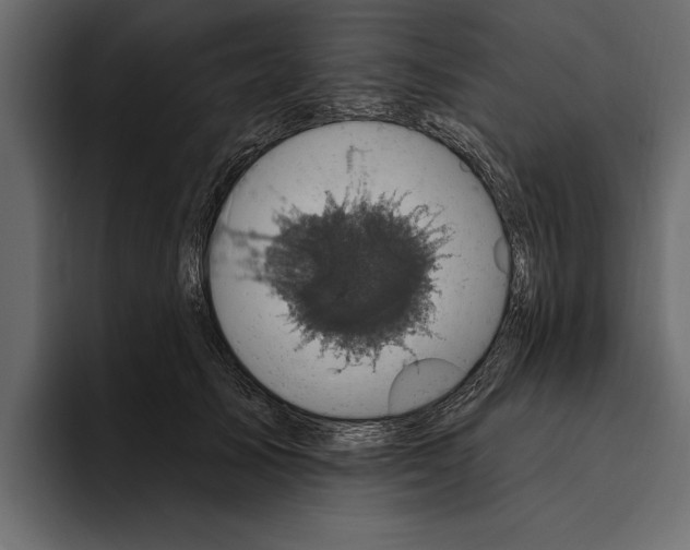 X0000094790705200712141638