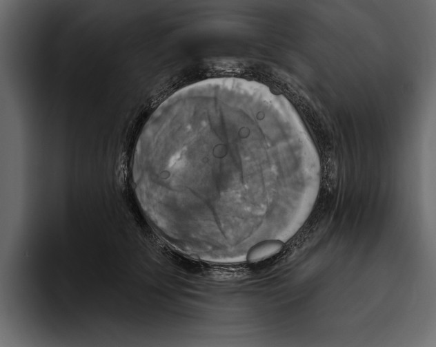 X0000094790707200712141638