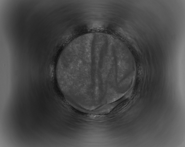 X0000094790708200712141638