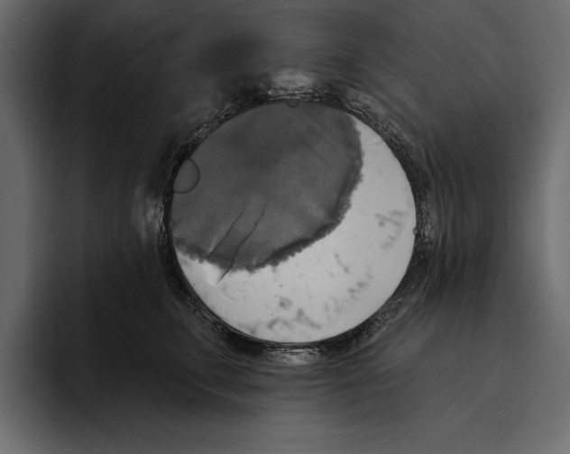 X0000094790711200712141638