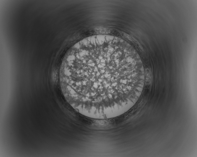 X0000094790713200712141638