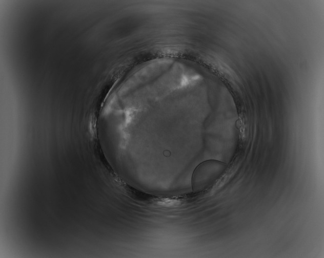 X0000094790718200712141638