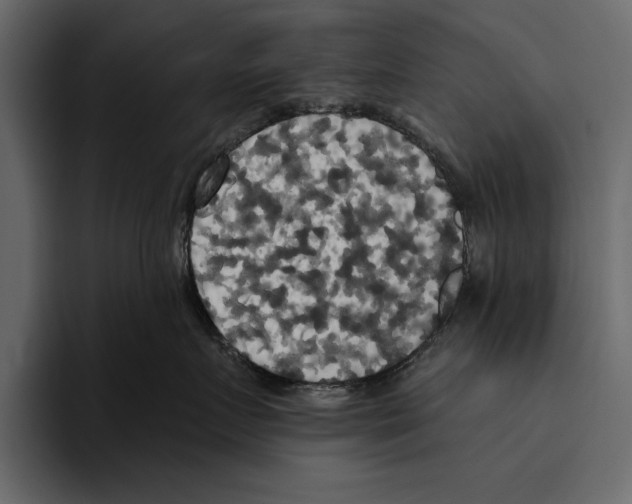 X0000094790719200712141638