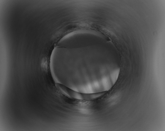 X0000094790720200712141638