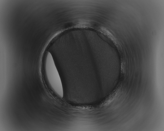 X0000094790724200712141637