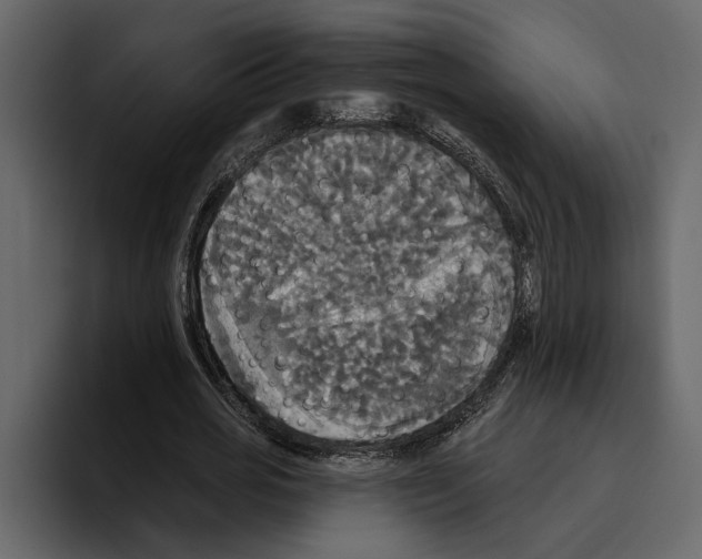 X0000094790725200712141637