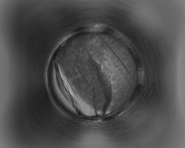 X0000094790726200712141637