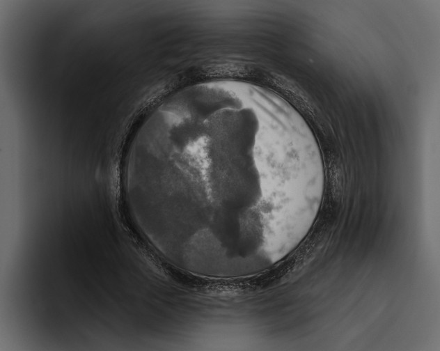 X0000094790729200712141637