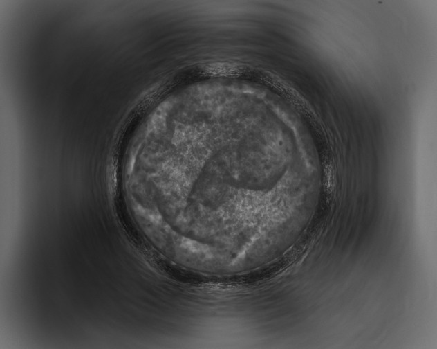 X0000094790733200712141637