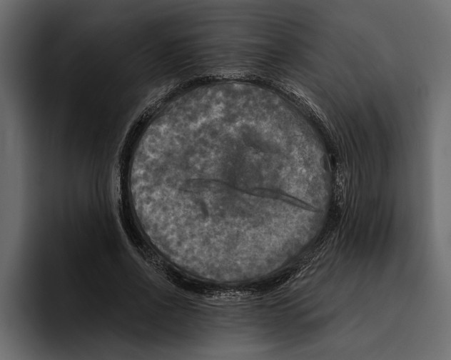 X0000094790734200712141637