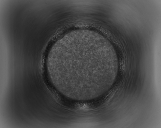 X0000094790735200712141637