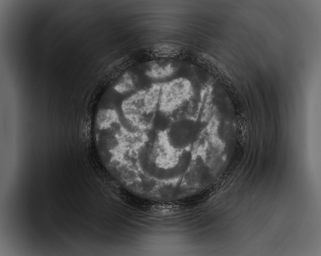 X0000094790745200712141637