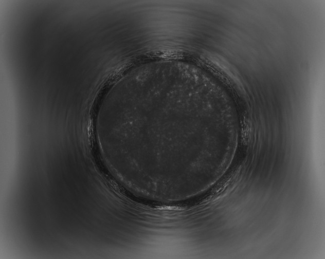 X0000094790748200712141637