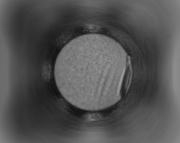 X0000094790752200712141637