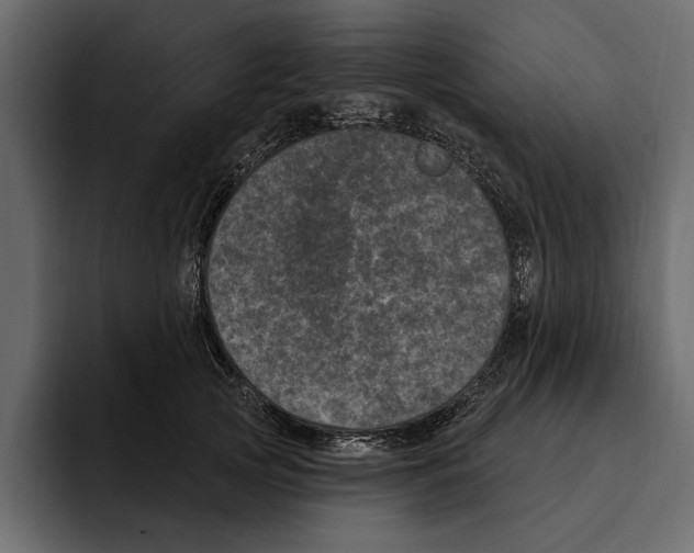 X0000094790753200712141637