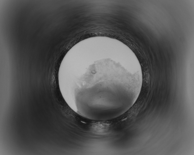 X0000094790754200712141637