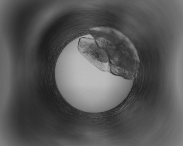 X0000094790761200712141637