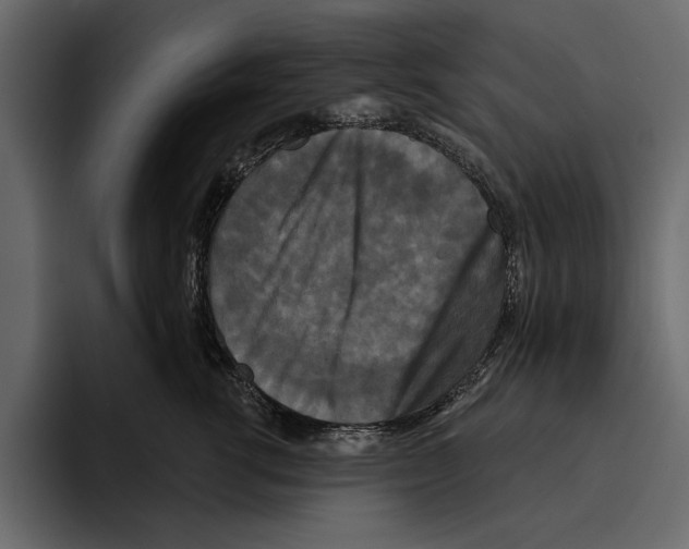 X0000094790762200712141637