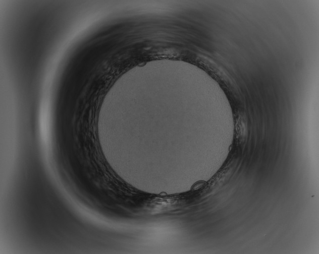 X0000094790764200712141638