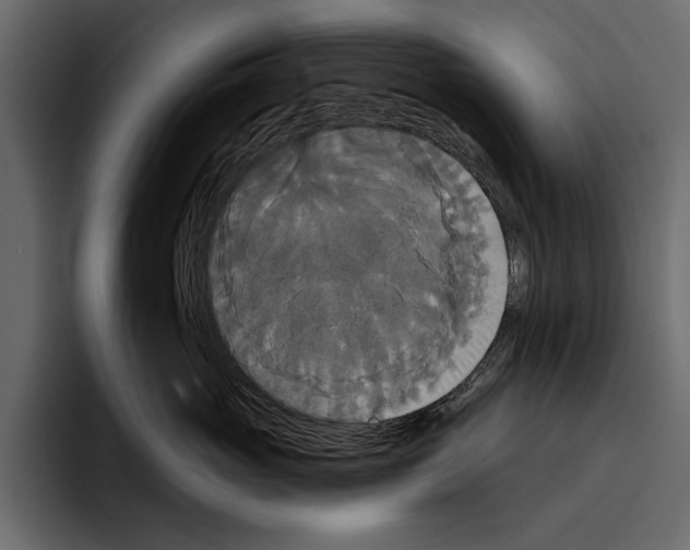 X0000094790765200712141638