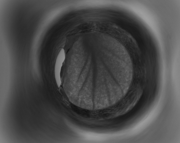 X0000094790766200712141638