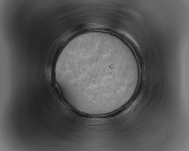 X0000094790777200712141637