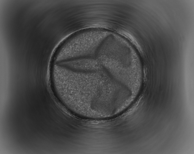 X0000094790780200712141637