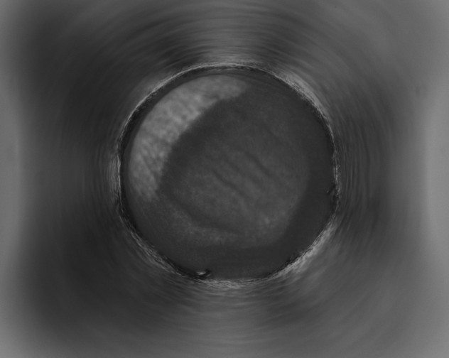 X0000094790781200712141637