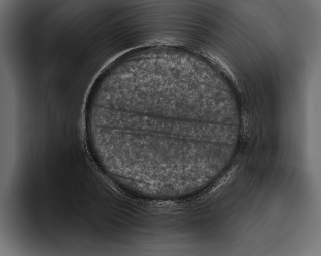 X0000094790784200712141637