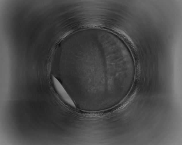 X0000094790785200712141637