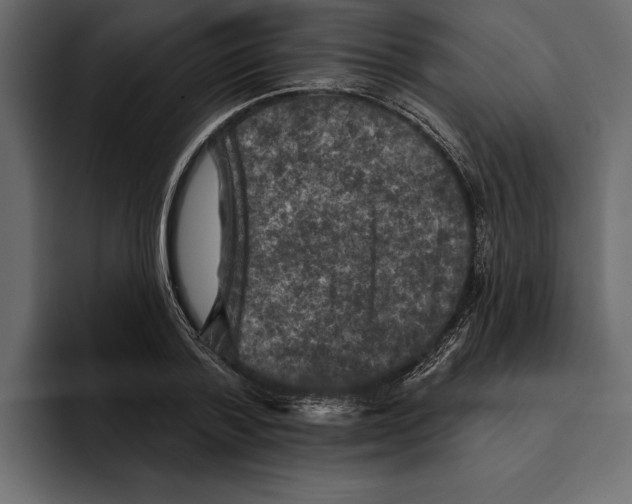 X0000094790788200712141637