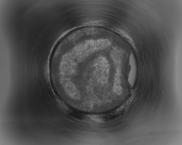 X0000094790792200712141637