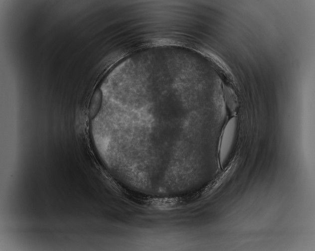 X0000094790793200712141637