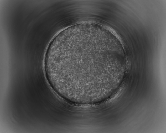 X0000094790803200712141637