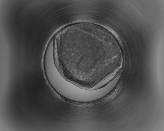 X0000094790807200712141636